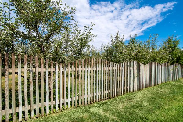 Apple Orchard Fencing